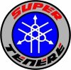 Super Tenere Trident.JPG