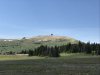52E68643-1205-48D3-BA80-F9583DB69E71.jpeg