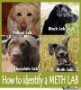 HOW-TO-Identify-a-Meth-Lab_o_96727.jpg