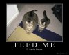 feed me.jpg