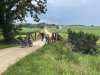 IMG_8079.jpeg