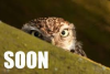 1721316343914.png