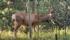 IMG_E8142.JPG
