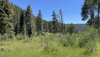 IMG_E8170.JPG