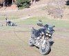 IMG20240803142331.jpg