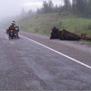 1936_Heading_up_the_Alaska_Highway_1_jpge89a2597fb30f69161f326fa7abd871d_extjpg.jpg